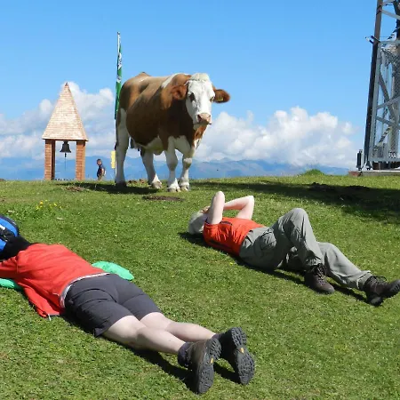 Ferienhaeuser Thalbach * Heiligenblut