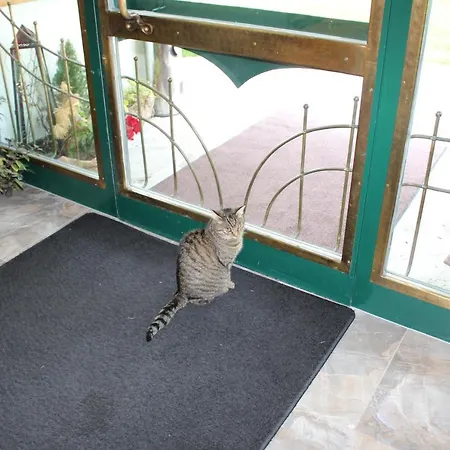 Ferienhaeuser Thalbach Heiligenblut