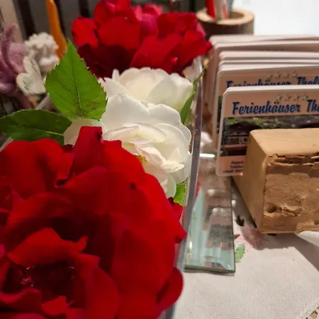 Ferienhaeuser Thalbach Heiligenblut