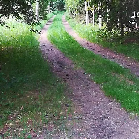 Ferienhaeuser Thalbach