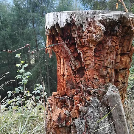 Ferienhaeuser Thalbach Appartamento *