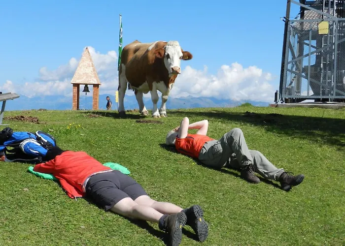 Ferienhaeuser Thalbach * Heiligenblut