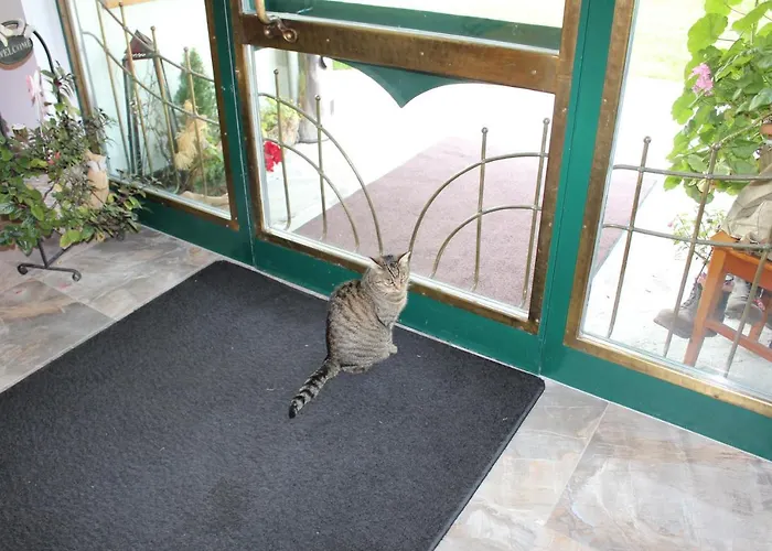 Ferienhaeuser Thalbach Heiligenblut