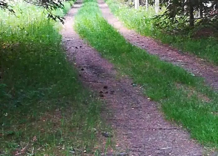 Ferienhaeuser Thalbach