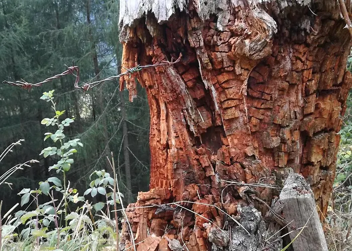 Ferienhaeuser Thalbach Appartement *