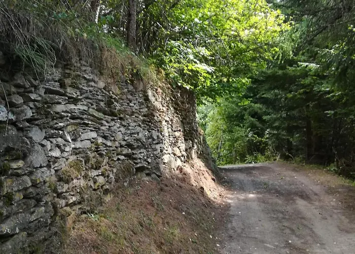 Ferienhaeuser Thalbach Heiligenblut